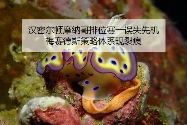 汉密尔顿摩纳哥排位赛一误失先机 梅赛德斯策略体系现裂痕