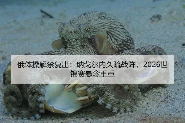 俄体操解禁复出：纳戈尔内久疏战阵，2026世锦赛悬念重重